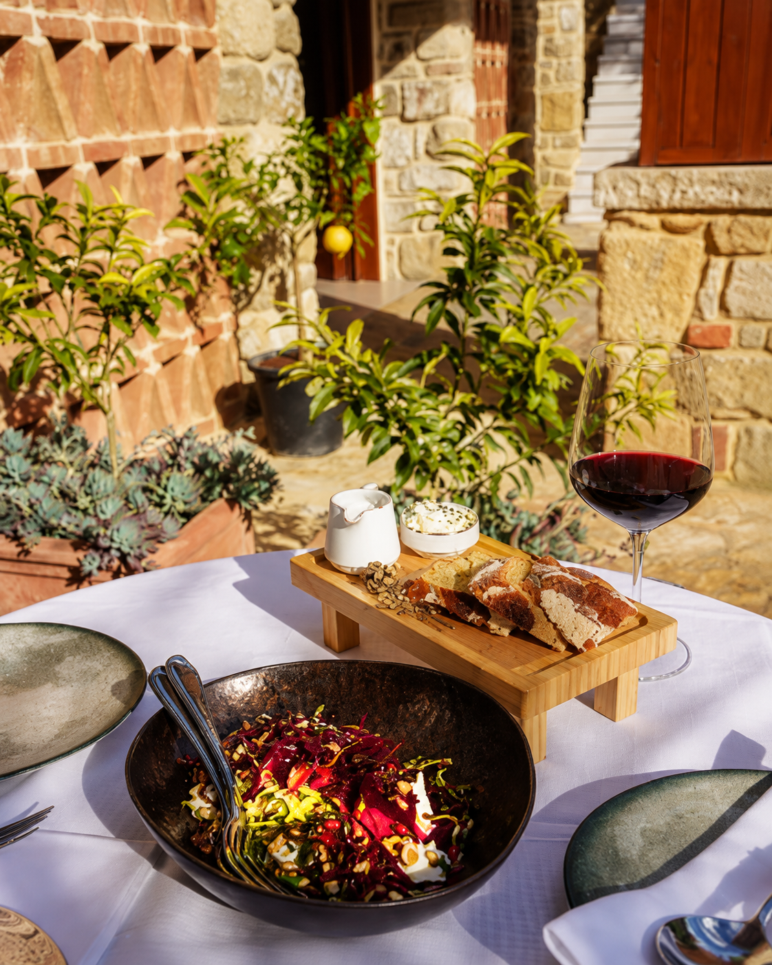 Piatti freschi, insalata e vino rosso serviti nell'ambiente rustico di Blerina Farm vicino a Tirana.