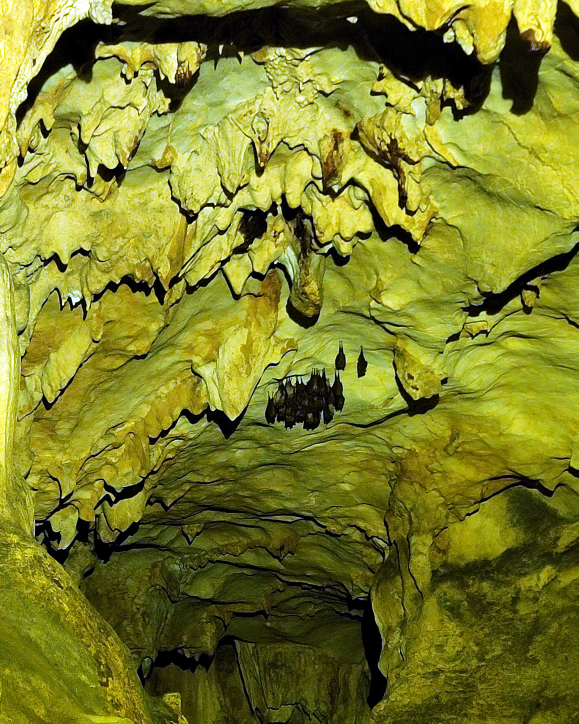 Radac Cave