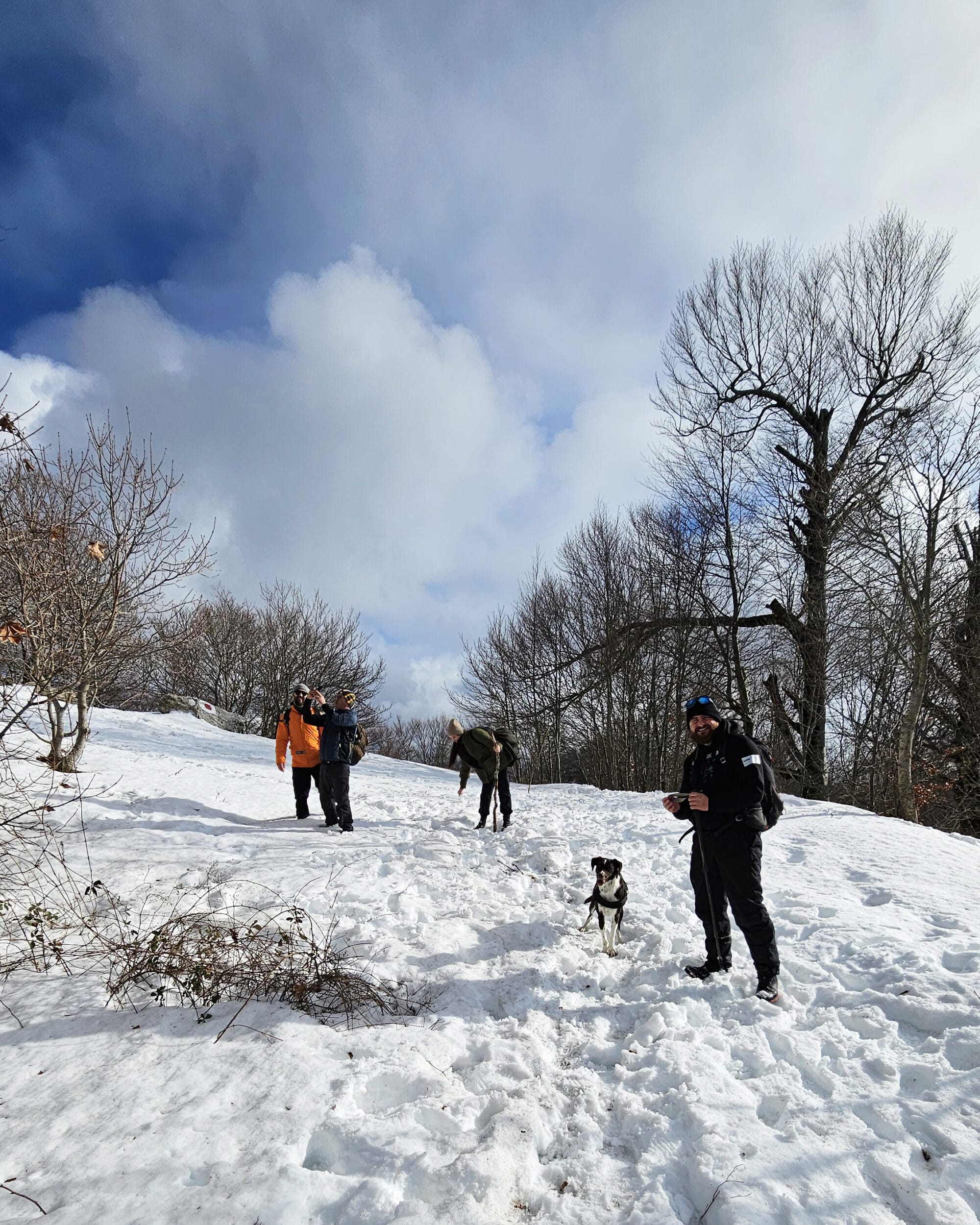 Hiking Dajti Crest snow trail
