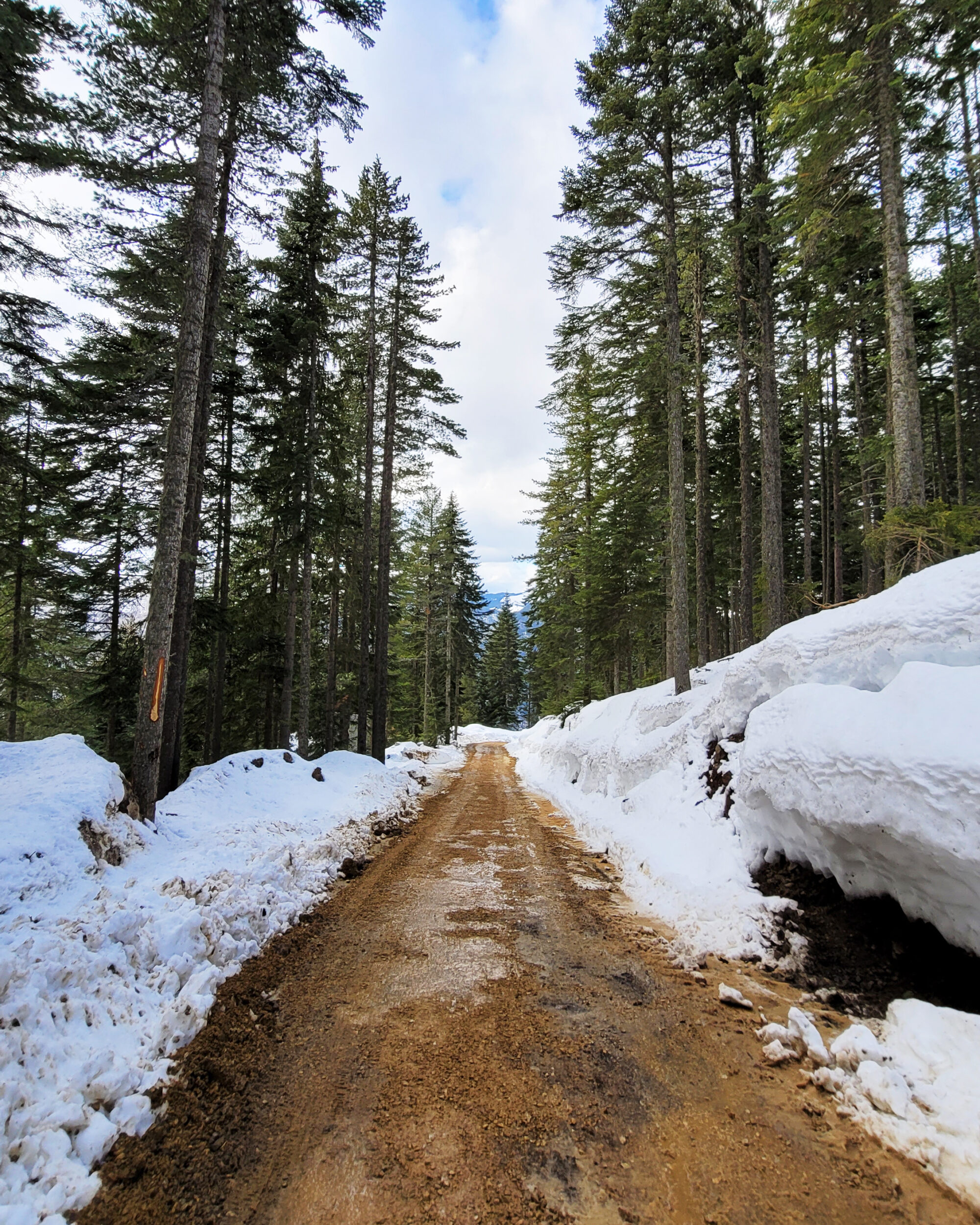 Dirt road in Liqenat