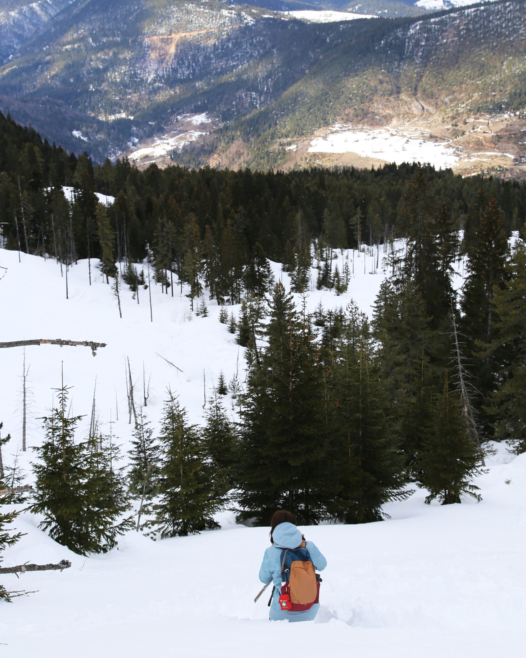 Hiker in the forest with snow