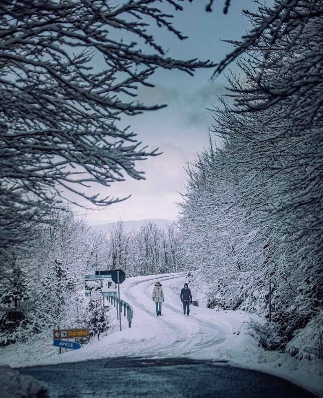 Hiking Trails