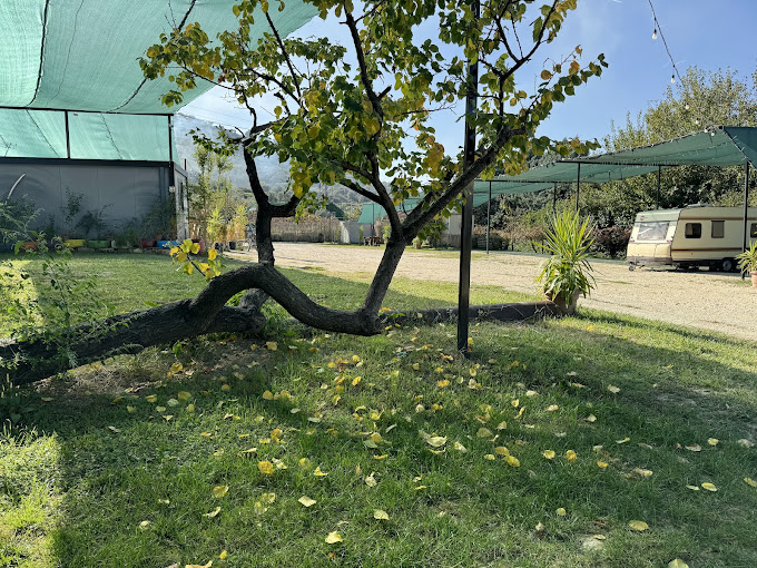 Top campgrounds in Albania
