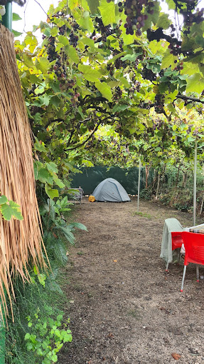 Top campgrounds in Albania