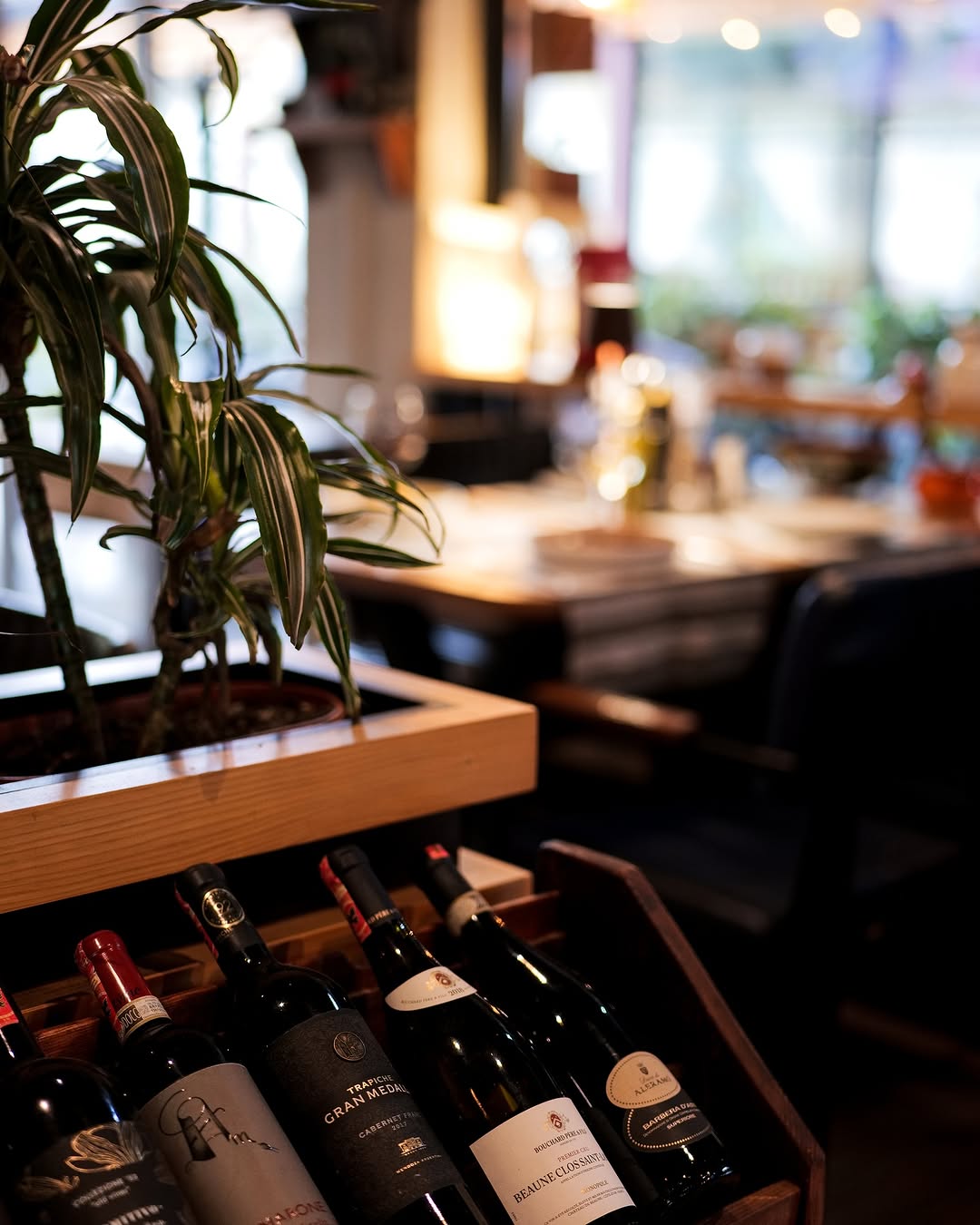 Italian and local Albanian wines