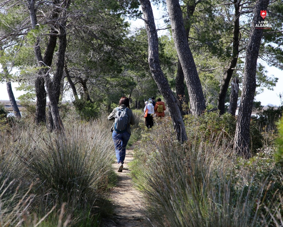 Divjake-Karavasta National Park