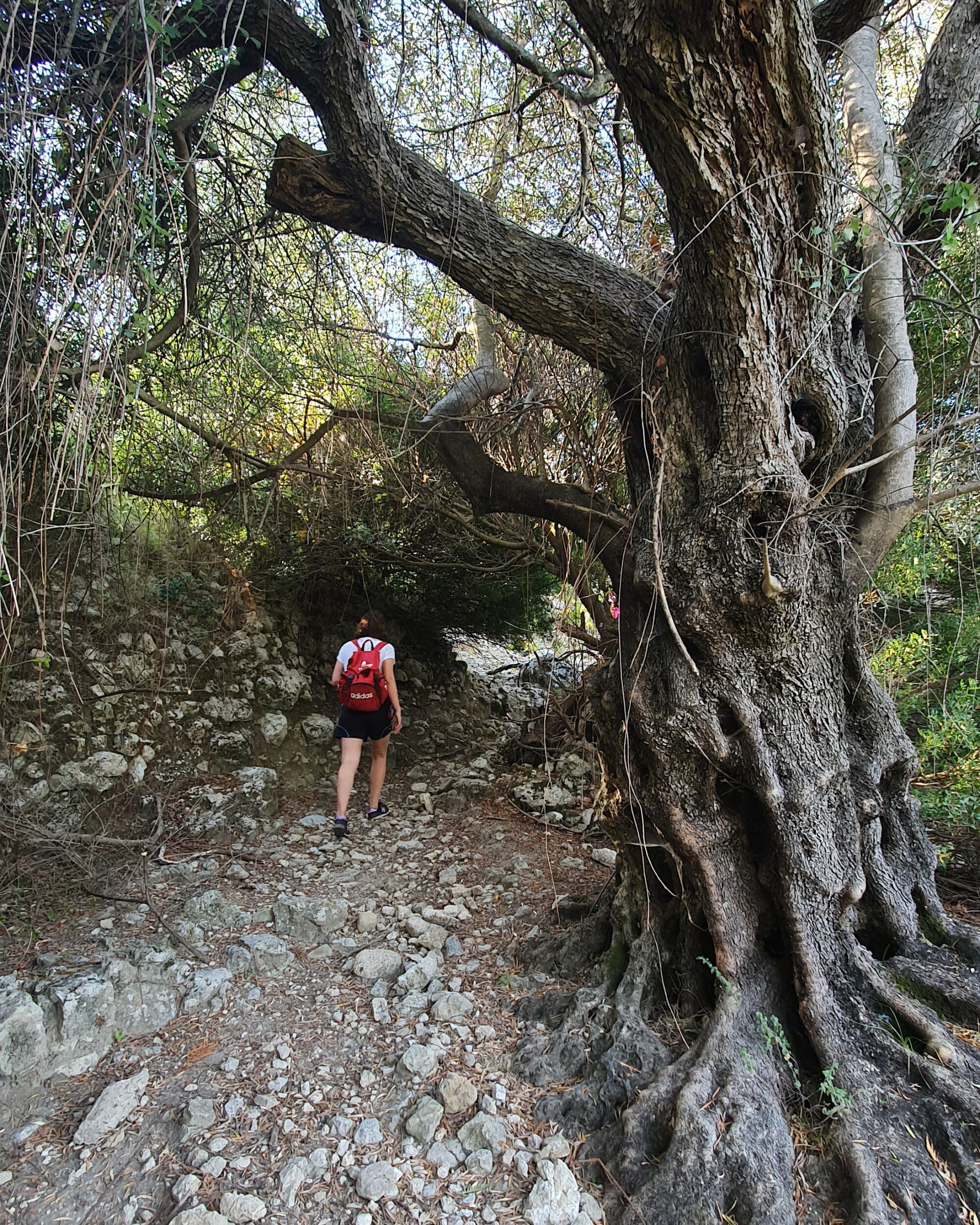 Himara Castle