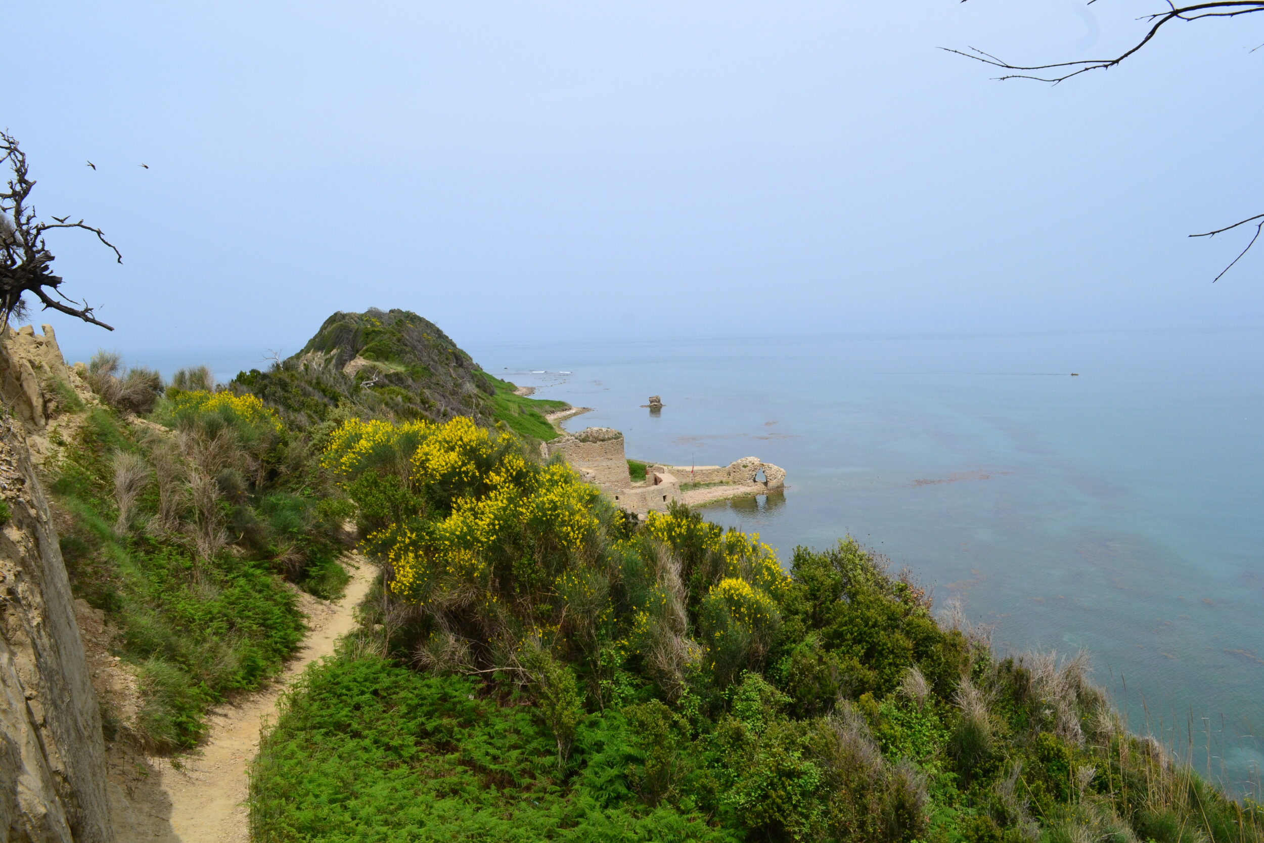 vizitoni Durrësin