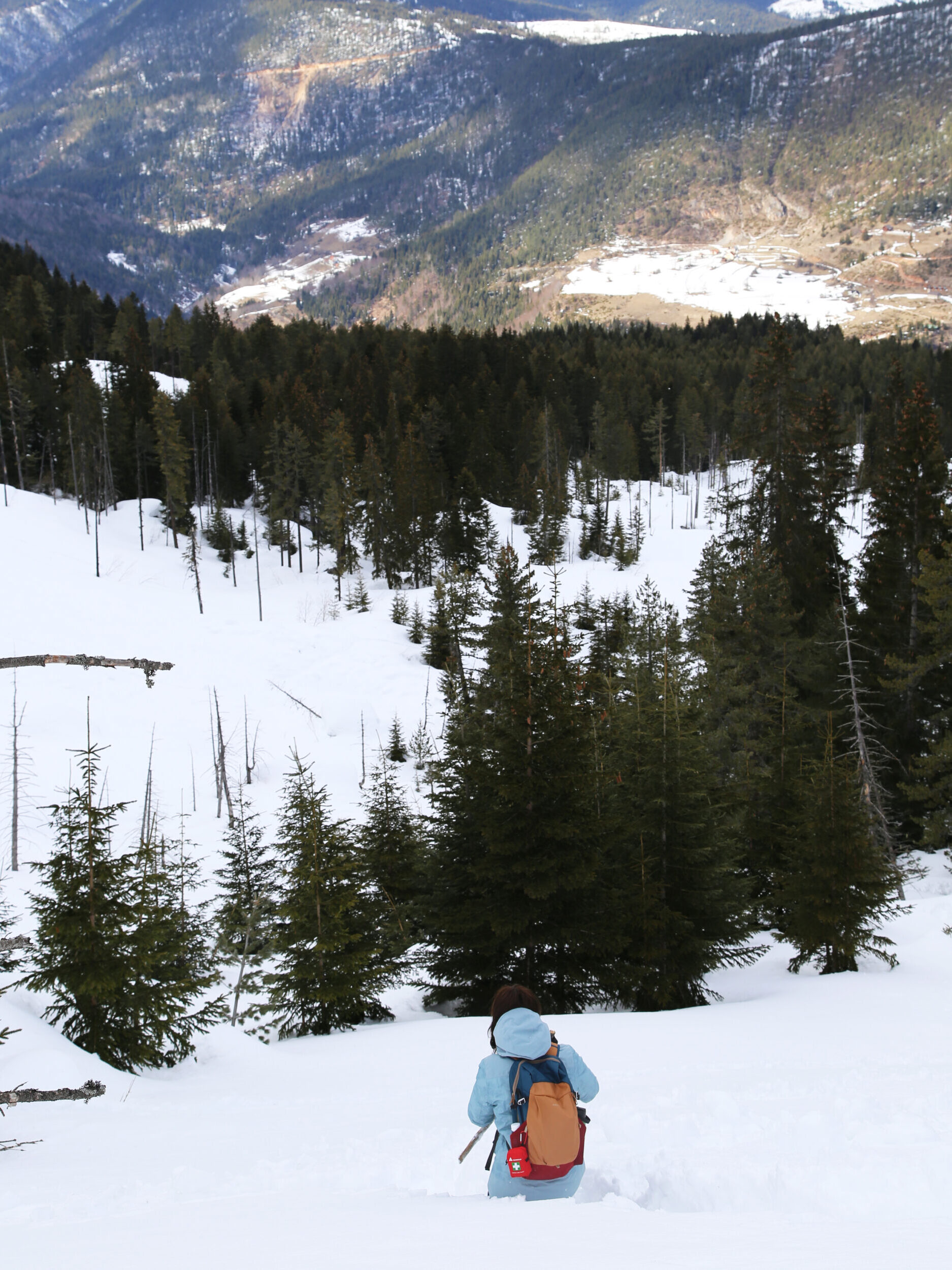 Hiker in the forest with snow
