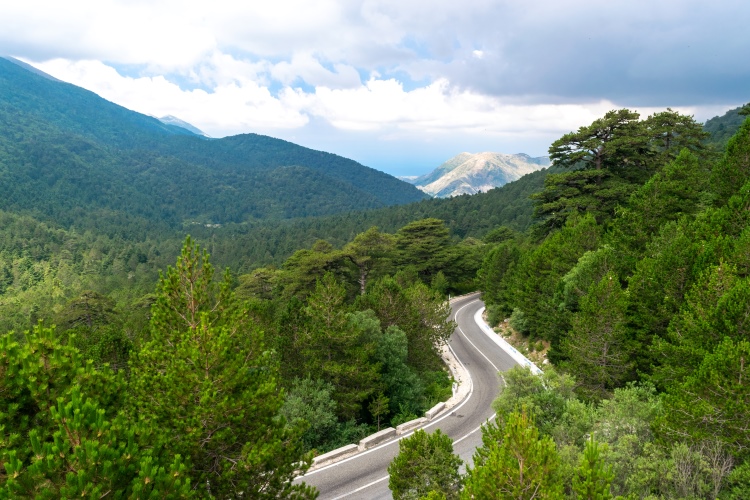 Parqet Kombëtare në Shqipëri