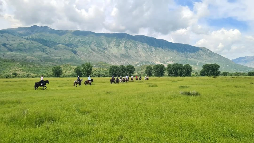 Read more about the article Inspiring horse riding experiences in Albania (2025 Guide)