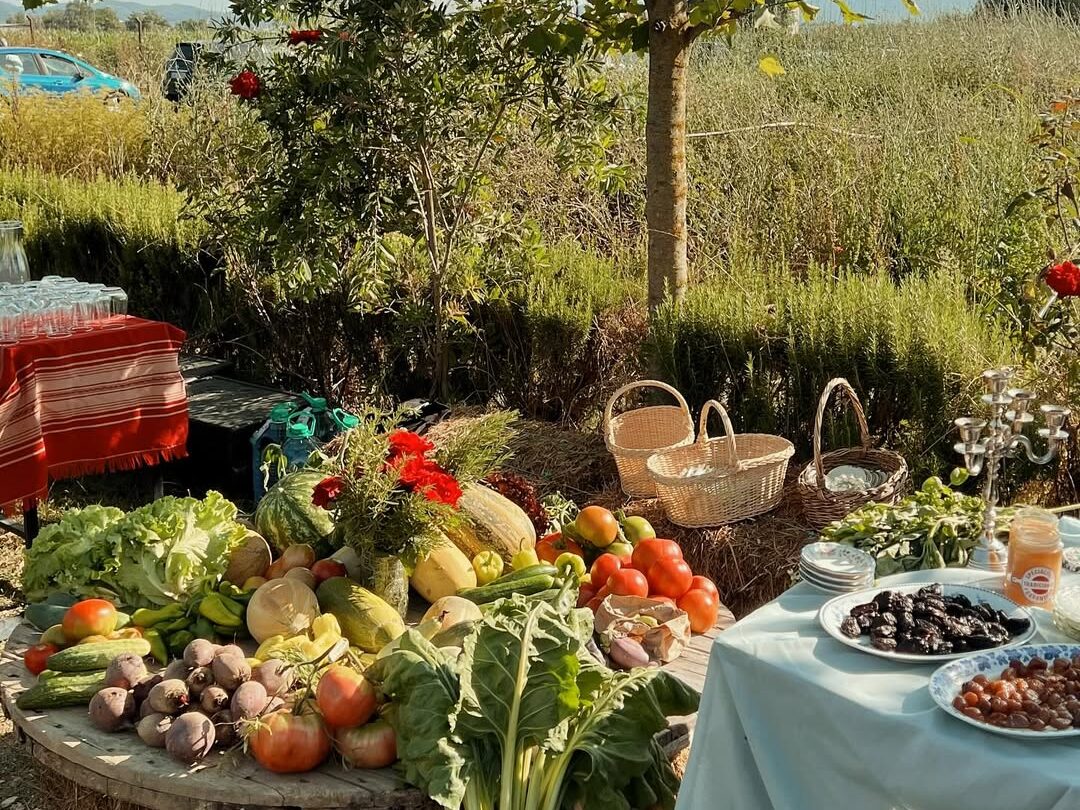 ferma pranë Tiranës