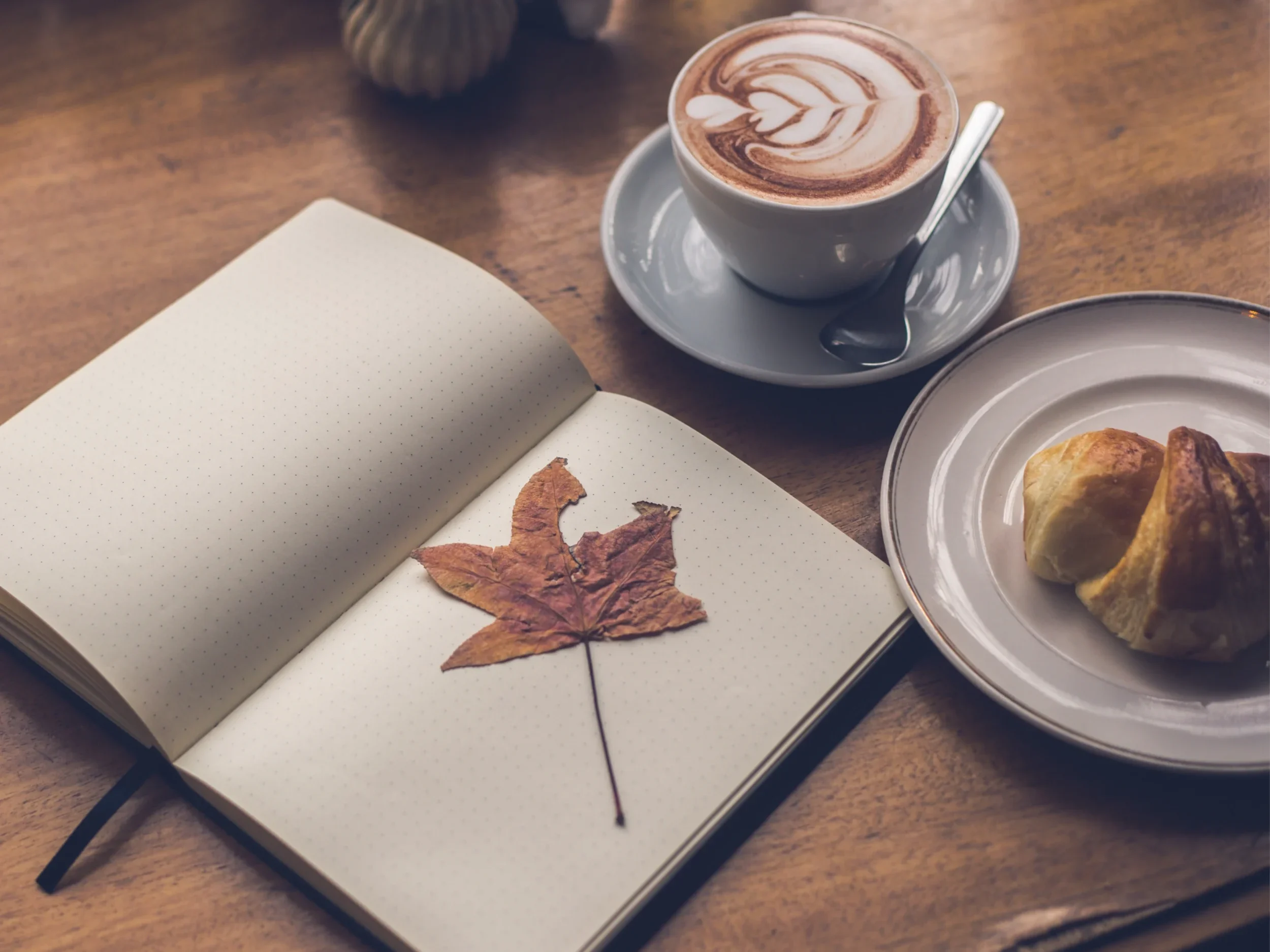 Read more about the article Book Cafés in Tirana – Where to read & enjoy coffee (2025 Guide)