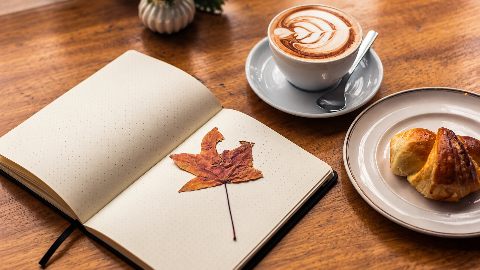 Book cafés in Tirana with coffee, books and cozy reading spaces