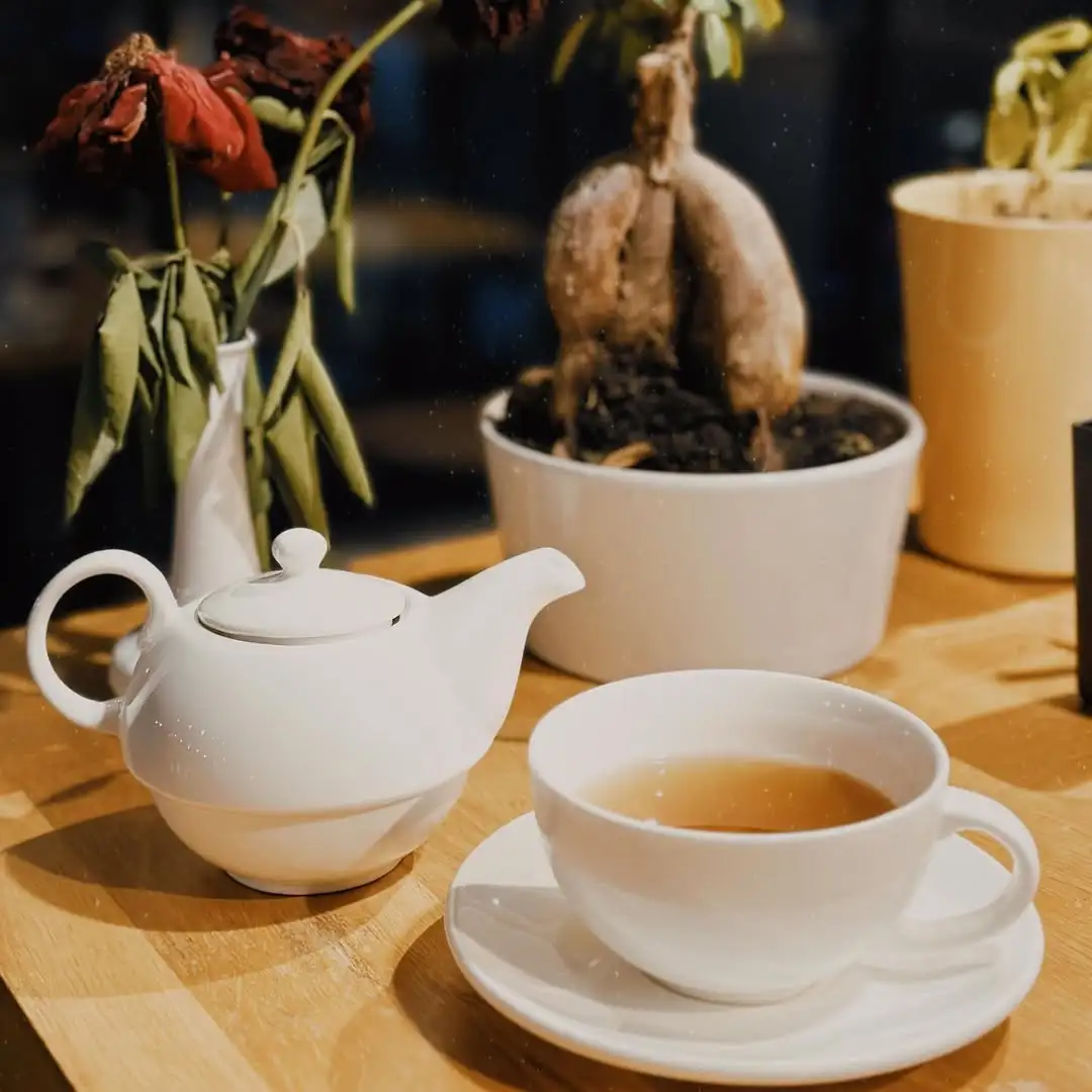 Caffè con musica e libri Tirana