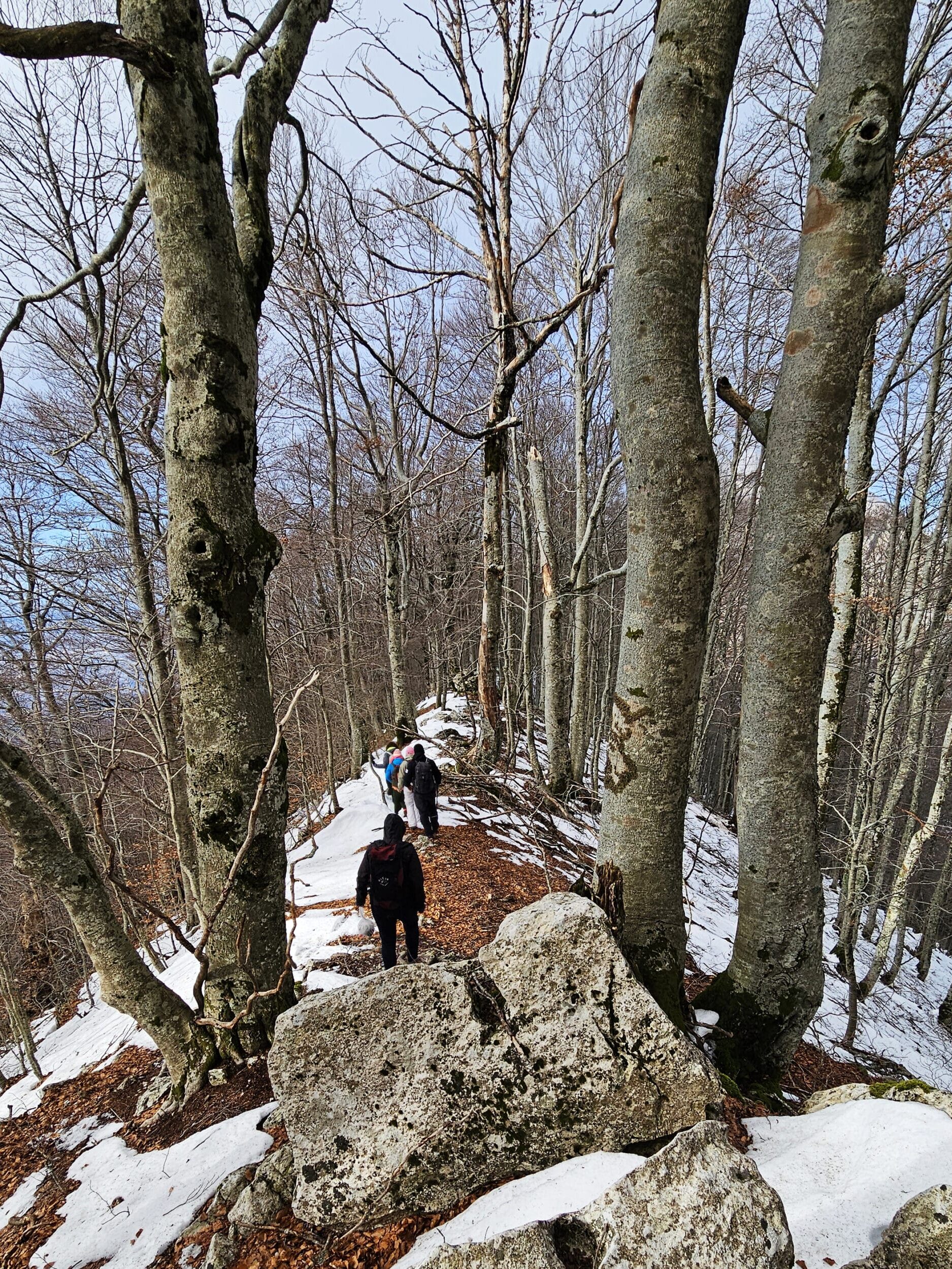 Escursione invernale sul sentiero innevato del crinale del Dajti