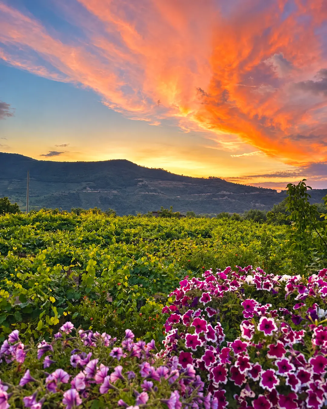 Esperienza nella campagna all'Agroturizem Alpeta a Roshnik, Albania