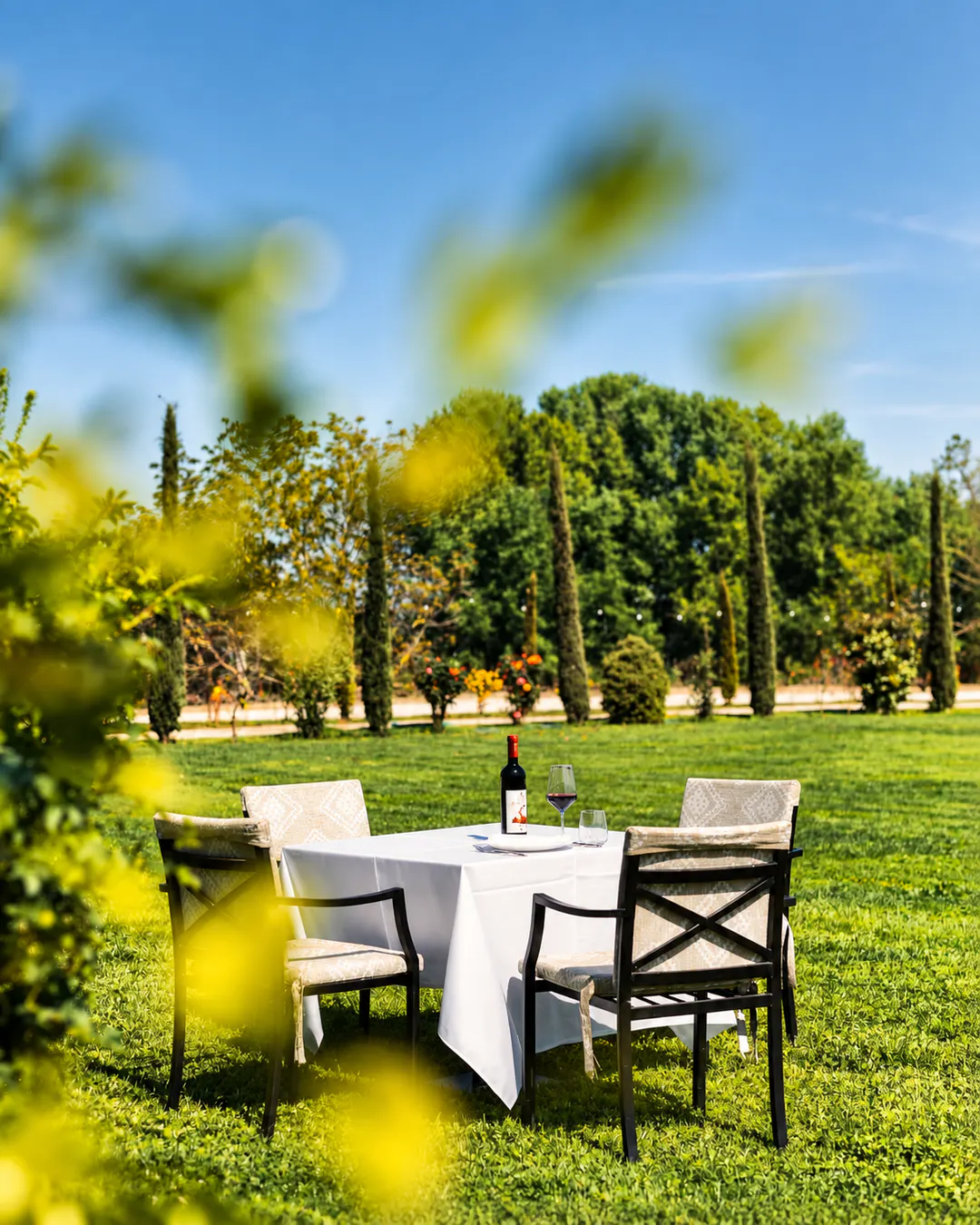 Esperienza gastronomica rurale all'Agroturizem Gjepali vicino a Tirana