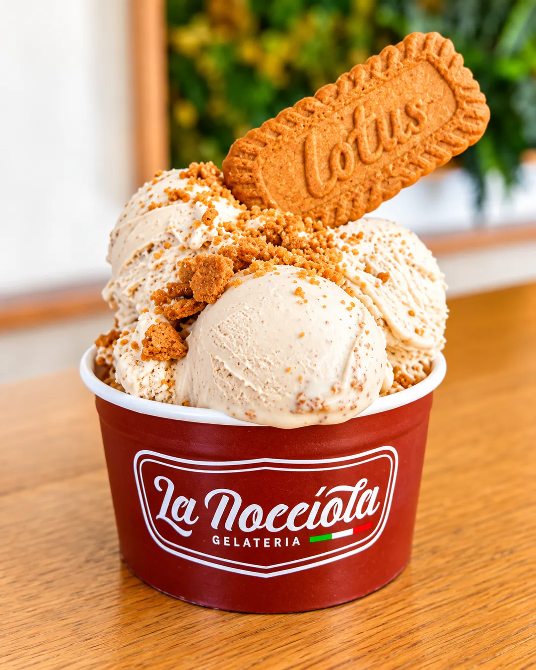 Gelato me biskota Lotus te La Nocciola Gelateria në Tiranë