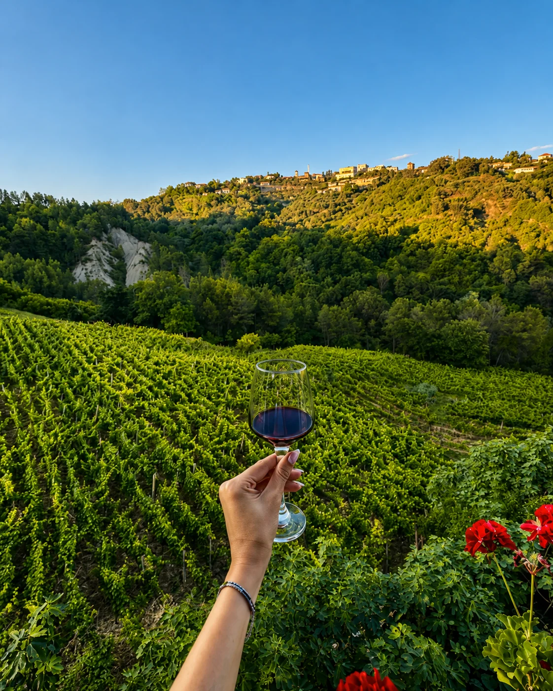 Bicchiere di vino rosso con vista su vigneti rigogliosi e colline di campagna alla Kantina Enol vicino a Prezë, Albania.