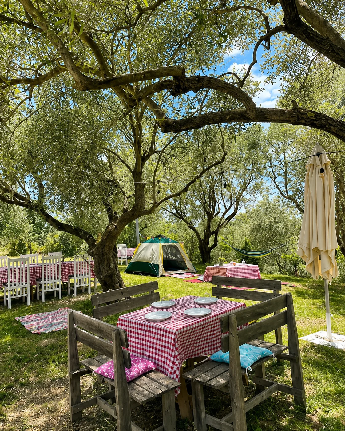 Tavoli rustici all'aperto sotto gli ulivi alla Rraketat Farm, immersi in una tranquilla atmosfera di campagna e campeggio.