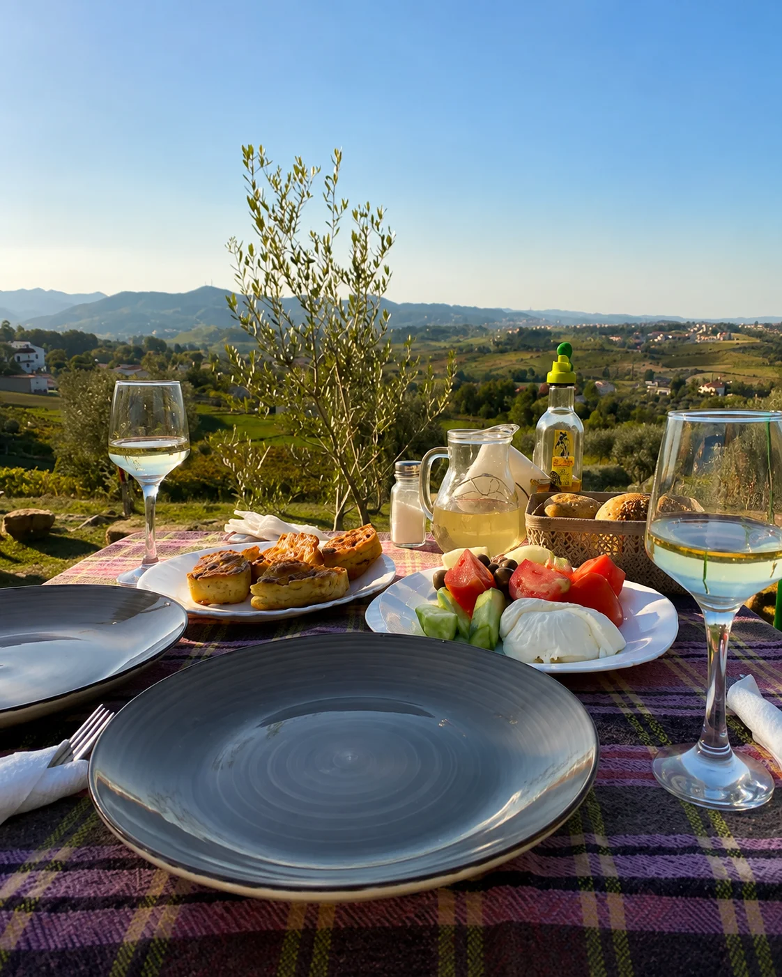 Tavolo all'aperto con piatti tradizionali, vino e vista panoramica sulla campagna alla Turtle Farm Albania di Daias, Tirana.