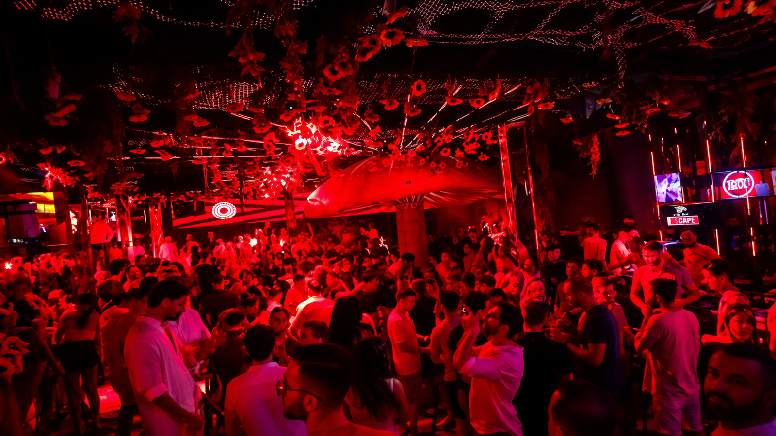Crowded dance floor at Puls Nightclub in Tirana, Albania, with red lighting, lively nightlife and party atmosphere.