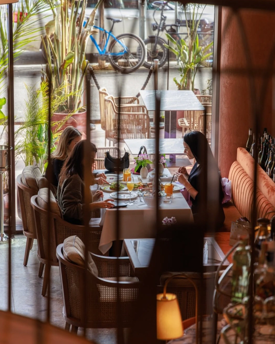 Guests enjoying brunch at ZABÒ Garden in Tirana, seated beside large windows overlooking the outdoor terrace.