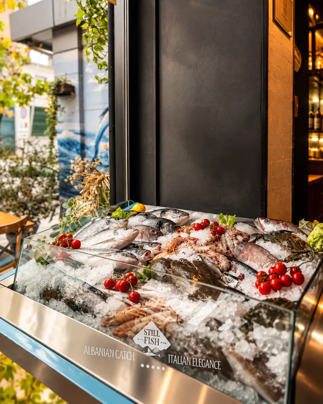 Ekspozim i peshkut dhe frutave të freskëta të detit mbi akull në restorantin Still Fish në Tiranë